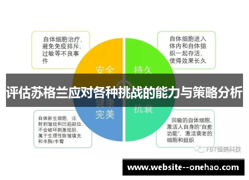 评估苏格兰应对各种挑战的能力与策略分析