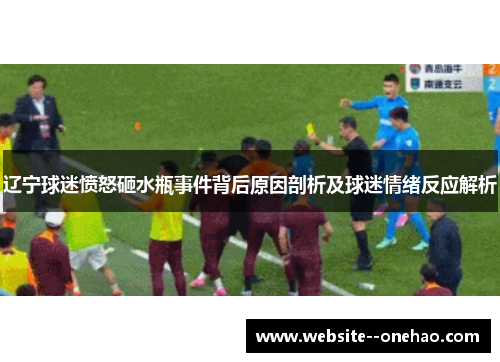 辽宁球迷愤怒砸水瓶事件背后原因剖析及球迷情绪反应解析 辽宁球迷愤怒砸水瓶事件背后原因剖析及球迷情绪反应解析