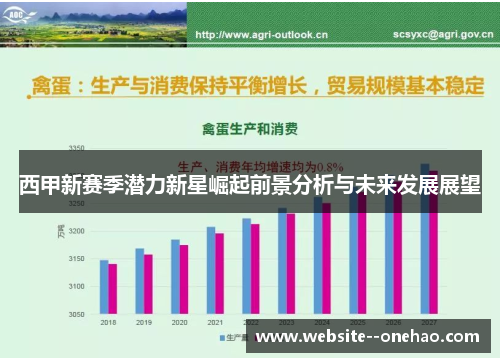 西甲新赛季潜力新星崛起前景分析与未来发展展望