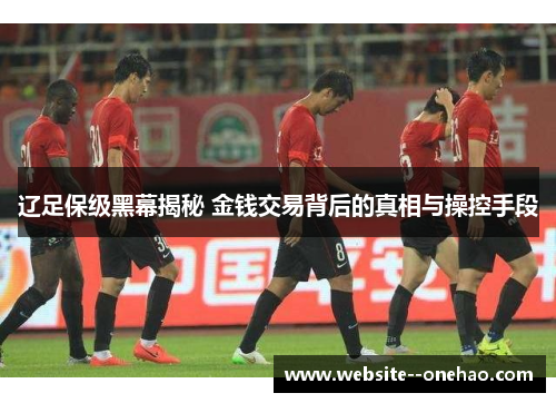 辽足保级黑幕揭秘 金钱交易背后的真相与操控手段
